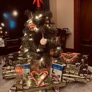 12 Months of Mystery Book Set